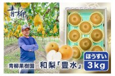 【2025年先行予約】青柳果樹園の和梨 豊水 3kg（4～6玉）《9月上旬から出荷》 果物 ほうすい フルーツギフト 加茂市 青柳果樹園