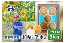 【2025年先行予約】青柳果樹園の和梨 幸水 3kg（6～9玉） 《8月下旬から出荷》 果物 こうすい フルーツギフト 加茂市 青柳果樹園
