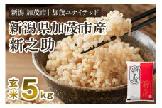 【令和7年産新米先行予約】新潟県産 新之助 玄米5kg 《5kg×1袋》《10月上旬から順次発送》 新潟 ブランド米 加茂市 加茂ユナイテッド