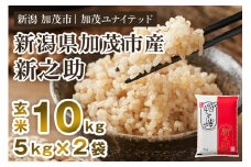 【令和7年産新米先行予約】新潟県産 新之助 玄米10kg 《5kg×2袋》《10月上旬から順次発送》 新潟 ブランド米 加茂市 加茂ユナイテッド