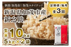 【令和7年産新米先行予約】【定期便3ヶ月毎月お届け】新潟県産 新之助 玄米10kg 《5kg×2袋》《10月上旬から順次発送》 新潟 ブランド米 加茂市 加茂ユナイテッド