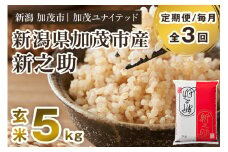 【令和7年産新米先行予約】【定期便3ヶ月毎月お届け】新潟県産 新之助 玄米5kg 《5kg×1袋》《10月上旬から順次発送》 新潟 ブランド米 加茂市 加茂ユナイテッド