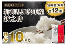 【令和7年産新米先行予約】【定期便12ヶ月毎月お届け】新潟県産 新之助 精米10kg 《5kg×2袋》《10月上旬から順次発送》 新潟 ブランド米 加茂市 加茂ユナイテッド