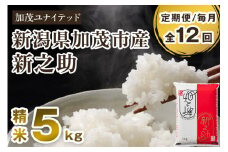 【令和7年産新米先行予約】【定期便12ヶ月毎月お届け】新潟県産 新之助 精米5kg 《5kg×1袋》《10月上旬から順次発送》 新潟 ブランド米 加茂市 加茂ユナイテッド