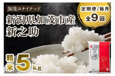 【令和7年産新米先行予約】【定期便9ヶ月毎月お届け】新潟県産 新之助 精米5kg 《5kg×1袋》《10月上旬から順次発送》 新潟 ブランド米 加茂市 加茂ユナイテッド