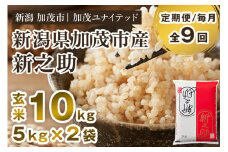 【令和7年産新米先行予約】【定期便9ヶ月毎月お届け】新潟県産 新之助 玄米10kg 《5kg×2袋》《10月上旬から順次発送》 新潟 ブランド米 加茂市 加茂ユナイテッド