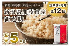 【令和7年産新米先行予約】【定期便12ヶ月毎月お届け】新潟県産 新之助 玄米5kg 《5kg×1袋》《10月上旬から順次発送》 新潟 ブランド米 加茂市 加茂ユナイテッド