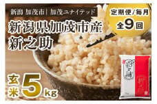 【令和7年産新米先行予約】【定期便9ヶ月毎月お届け】新潟県産 新之助 玄米5kg 《5kg×1袋》《10月上旬から順次発送》 新潟 ブランド米 加茂市 加茂ユナイテッド