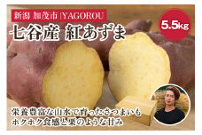 【新潟県加茂市七谷産】紅あずま 5.5kg（M〜LLサイズ）さつまいも《11月中旬〜順次発送》人気品種 ほくほく食感と濃厚な甘み 低温熟成  スイートポテトや天ぷら、焼き芋に 加茂市 YAGOROU ヤゴロウ