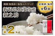 【令和7年産新米先行予約】【定期便6ヶ月毎月お届け】新潟県産 新之助 精米2kg 《2kg×1袋》《10月上旬から順次発送》 新潟 ブランド米 加茂市 加茂ユナイテッド