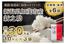 【令和7年産新米先行予約】【定期便6ヶ月毎月お届け】新潟県産 新之助 精米30kg 《10kg×3袋》《10月上旬から順次発送》 新潟 ブランド米 加茂市 加茂ユナイテッド