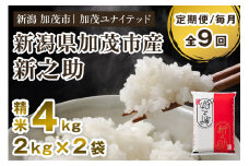 【令和7年産新米先行予約】【定期便9ヶ月毎月お届け】新潟県産 新之助 精米4kg 《2kg×2袋》《10月上旬から順次発送》 新潟 ブランド米 加茂市 加茂ユナイテッド