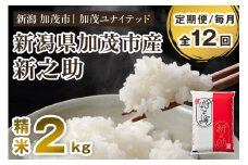 【令和7年産新米先行予約】【定期便12ヶ月毎月お届け】新潟県産 新之助 精米2kg 《2kg×1袋》《10月上旬から順次発送》 新潟 ブランド米 加茂市 加茂ユナイテッド
