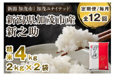 【令和7年産新米先行予約】【定期便12ヶ月毎月お届け】新潟県産 新之助 精米4kg 《2kg×2袋》《10月上旬から順次発送》 新潟 ブランド米 加茂市 加茂ユナイテッド