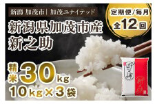 【令和7年産新米先行予約】【定期便12ヶ月毎月お届け】新潟県産 新之助 精米30kg 《10kg×3袋》《10月上旬から順次発送》 新潟 ブランド米 加茂市 加茂ユナイテッド