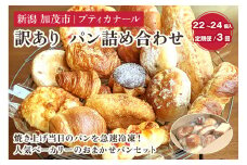 【定期便3ヶ月毎月お届け】 訳ありパン 詰め合わせ（冷凍） お試しパンセット【22～24個入り（4〜6人前）】ロスパン 食べ比べ  パン 焼きたて 国産小麦  菓子パン 惣菜パン 食事パン 朝食 加茂市 プティカナール