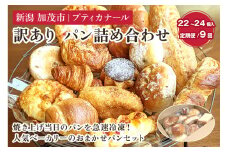【定期便9ヶ月毎月お届け】 訳ありパン 詰め合わせ（冷凍） お試しパンセット【22～24個入り（4〜6人前）】ロスパン 食べ比べ  パン 焼きたて 国産小麦  菓子パン 惣菜パン 食事パン 朝食 加茂市 プティカナール