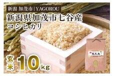 【令和7年産新米先行予約】新潟県加茂市 七谷産コシヒカリ  玄米10kg  《10月中旬～順次発送》 新潟産コシヒカリ 豊かな山水で育った天水米 加茂市 YAGOROU ヤゴロウ
