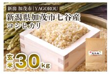 【令和7年産新米先行予約】新潟県加茂市 七谷産コシヒカリ  玄米30kg 《10月中旬～順次発送》 新潟産コシヒカリ 豊かな山水で育った天水米 加茂市 YAGOROU ヤゴロウ