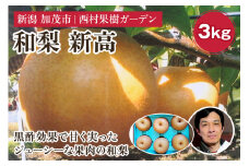 【2025年先行予約】西村の黒酢ミネラル栽培 和梨 「新高」 3kg（4〜9玉）《10月上旬〜順次発送》にいたか 梨 和梨  玄米黒酢やヨーグルトを散布して育てた梨  果物 フルーツ ギフト 加茂市 西村果樹ガーデン