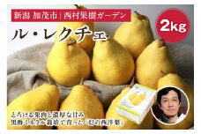 【2025年先行予約】西村の黒酢ミネラル栽培「ル・レクチェ」2kg （3～7玉）《11月下旬〜順次発送》 幻の西洋梨 梨 果実 フルーツ 冬の味覚 加茂市 西村果樹ガーデン