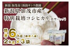 【令和5年産米】化学肥料不使用の従来コシヒカリ【厳選八蔵6kg】特別栽培《真空パック 2kg×3袋》有機肥料で育った厳選米  加茂市 新潟サトウ農園