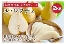 【2024年】 新潟特産 幻の洋梨ル・レクチェ 2kg 《11月下旬から順次発送》 果物 フルーツ ギフト 加茂市産ル・レクチェ ルレクチェ 梨 西洋梨 加茂市 のざきファーム