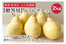 【2024年】【贈答用】幻の洋梨 ル・レクチェ 2kg（5〜7玉） 《11月下旬から順次発送》 化粧箱入り 果物 フルーツ ギフト 贈答  加茂市産ル・レクチェ  梨 西洋梨 加茂市 入江果樹園