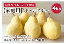 【2024年】【家庭用】幻の洋梨 ル・レクチェ 4kg（7～12玉） 《11月下旬から順次発送》 果物 フルーツ 加茂市産ル・レクチェ  梨 西洋梨 加茂市 入江果樹園