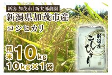 【令和7年産新米先行予約】新潟産コシヒカリ 精米 10kg（10kg×1袋）《9月下旬から順次発送》 コシヒカリ 新潟産 米  お米 白米 有機肥料で育ったこだわり米 加茂市 新太郎農園