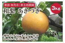 【2025年先行予約】和梨 あきづき 3kg（5～7玉）  《9月下旬から順次発送》 果物 フルーツ 梨 和梨 デザート 加茂市 新太郎農園
