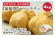 【2025年先行予約】【家庭用】幻の洋梨 ル・レクチェ4kg（10～14玉） 《11月下旬から順次発送》 果物 フルーツ  家庭用  加茂市産ル・レクチェ  梨 西洋梨 加茂市 新太郎農園