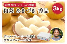 【2025年先行予約】しらい農園の和梨 あきづき 秀品3kg（5〜9玉）《9月下旬から順次発送》 果実 フルーツ 贈答 ギフト  甘くてジューシーな梨 なし 秋月 加茂市 しらい農園