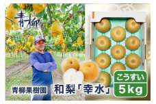 【2025年先行予約】青柳果樹園の和梨 幸水 5kg (10〜14玉)《8月下旬から出荷》 果物 しんこう フルーツギフト 加茂市 青柳果樹園