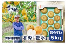 【2025年先行予約】青柳果樹園の和梨 豊水 5kg(10〜14玉)《9月上旬から出荷》 果物 ほうすい フルーツギフト 加茂市 青柳果樹園