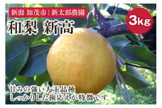 【2025年先行予約】和梨 新高 3kg（4〜7玉） 《10月中旬から順次発送》 果物 フルーツ 梨 和梨 デザート 加茂市  新太郎農園