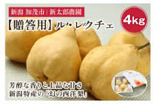 【2025年先行予約】【贈答用】幻の洋梨 ル・レクチェ4kg（9～14玉） 《11月下旬から順次発送》 化粧箱入り 果物 フルーツ ギフト 贈答  加茂市産ル・レクチェ  梨 西洋梨 加茂市 新太郎農園