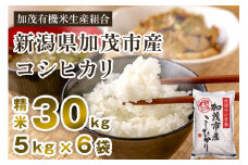【令和7年産新米先行予約】新潟県加茂市産コシヒカリ 精米30kg（5kg×6） 《10月中旬から順次出荷 》 白米 加茂有機米生産組合