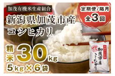 【令和7年産新米先行予約】【定期便3回隔月お届け】新潟県加茂市産コシヒカリ 精米30kg（5kg×6）《10月中旬から順次出荷》白米 加茂有機米生産組合