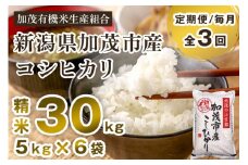 【令和7年産新米先行予約】【定期便3回毎月お届け】新潟県加茂市産コシヒカリ 精米30kg（5kg×6） 《10月中旬から順次出荷 》 白米 加茂有機米生産組合
