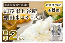 【令和7年産新米先行予約】【定期便6ヶ月毎月お届け】新潟県加茂市 七谷産 棚田米コシヒカリ 精米2kg 《10月中旬から順次出荷》白米 加茂有機米生産組合