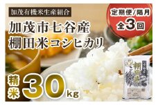 【令和7年産新米先行予約】【定期便3回隔月お届け】新潟県加茂市 七谷産 棚田米コシヒカリ 精米30kg（5kg×6）《10月中旬から順次出荷》 白米 加茂有機米生産組合
