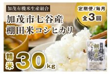 【令和7年産新米先行予約】【定期便3回毎月お届け】新潟県加茂市 七谷産 棚田米コシヒカリ 精米30kg（5kg×6） 《10月中旬から順次出荷》 白米 加茂有機米生産組合