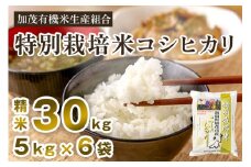 【令和7年産新米先行予約】新潟県加茂市産 特別栽培米コシヒカリ 精米30kg（5kg×6） 《10月中旬から順次出荷》 白米 従来品種コシヒカリ 加茂有機米生産組合
