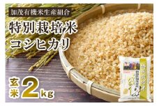 【令和6年産米】新潟県加茂市産 特別栽培米コシヒカリ 玄米2kg 従来品種コシヒカリ 加茂有機米生産組合