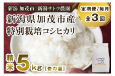 【令和6年産米】【定期便3ヶ月毎月お届け】化学肥料未使用の従来コシヒカリ【壱の蔵5kg】特別栽培 有機肥料で育った厳選米 加茂市 新潟サトウ農園