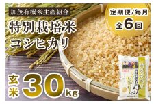【令和6年産米】【定期便6回毎月お届け】新潟県加茂市産 特別栽培米コシヒカリ 玄米30kg（5kg×6） 従来品種コシヒカリ 加茂有機米生産組合