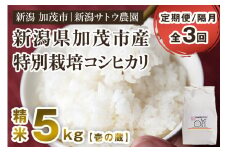【令和6年産米】【定期便3ヶ月隔月お届け】化学肥料未使用の従来コシヒカリ【壱の蔵5kg】特別栽培 有機肥料で育った厳選米 加茂市 新潟サトウ農園