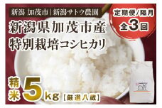 【令和6年産米】【定期便3ヶ月隔月お届け】化学肥料未使用の従来コシヒカリ【厳選八蔵5kg】特別栽培 有機肥料で育った厳選米 加茂市 新潟サトウ農園