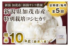 【令和6年産米】【定期便5ヶ月毎月お届け】化学肥料未使用の従来コシヒカリ【厳選八蔵10kg】特別栽培 有機肥料で育った厳選米 加茂市 新潟サトウ農園